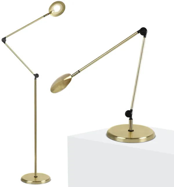 Sage 2-in-1 LED Floor and Table Lamp