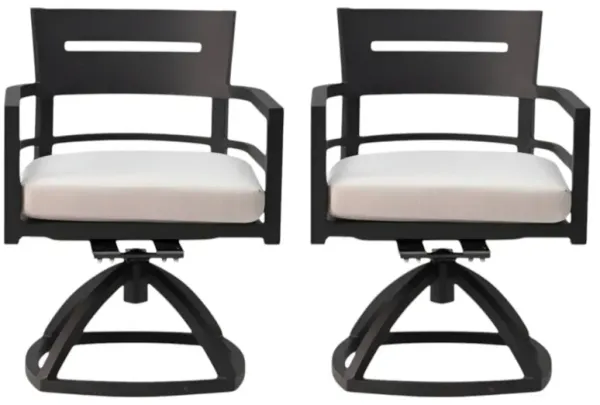 2-Piece Aluminum Swivel Rocker Set – Outdoor Patio Chairs with Durable Sunbrella Cushions for Porch & Garden
