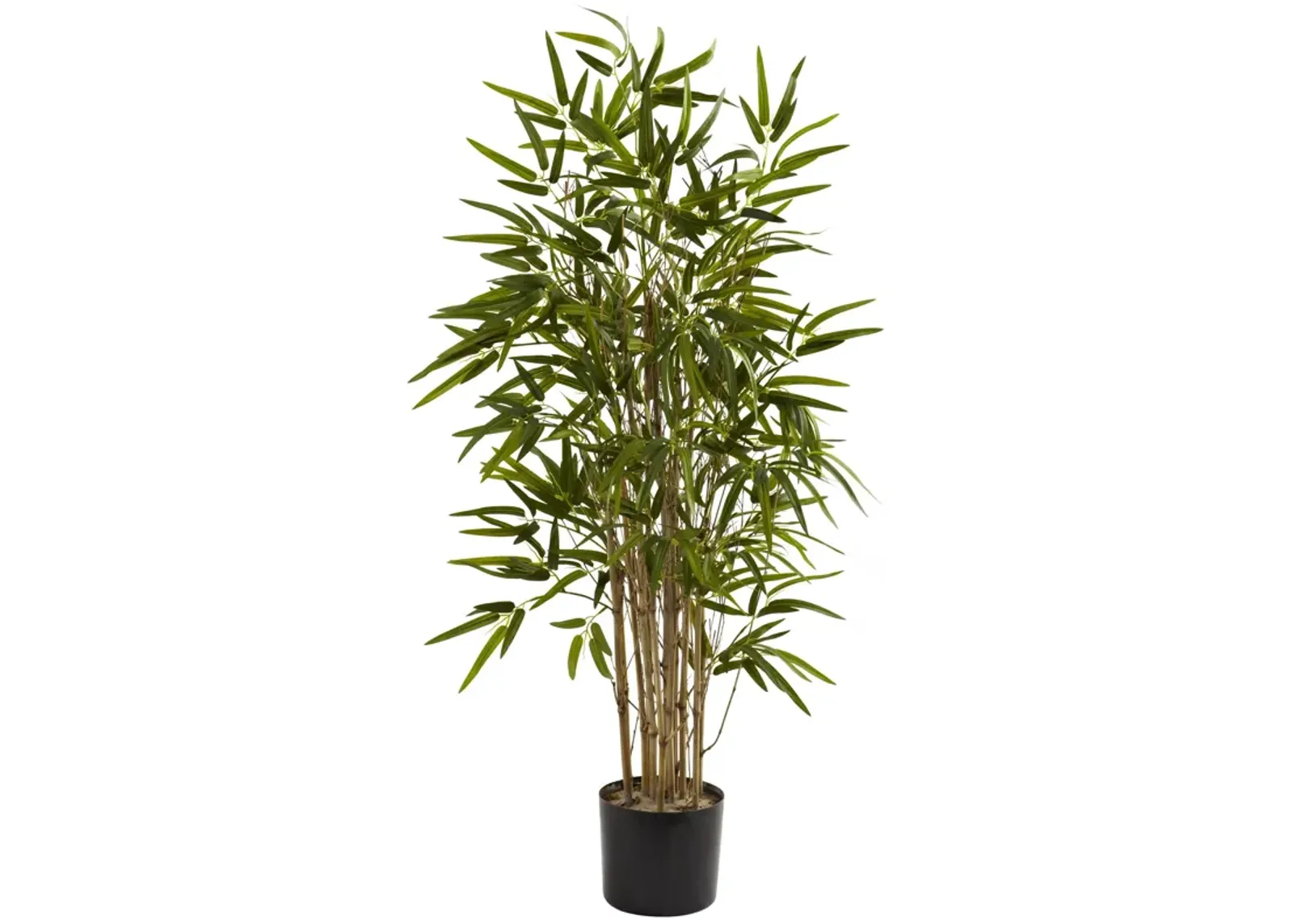 HomPlanti 3.5 Feet Twiggy Bamboo Tree