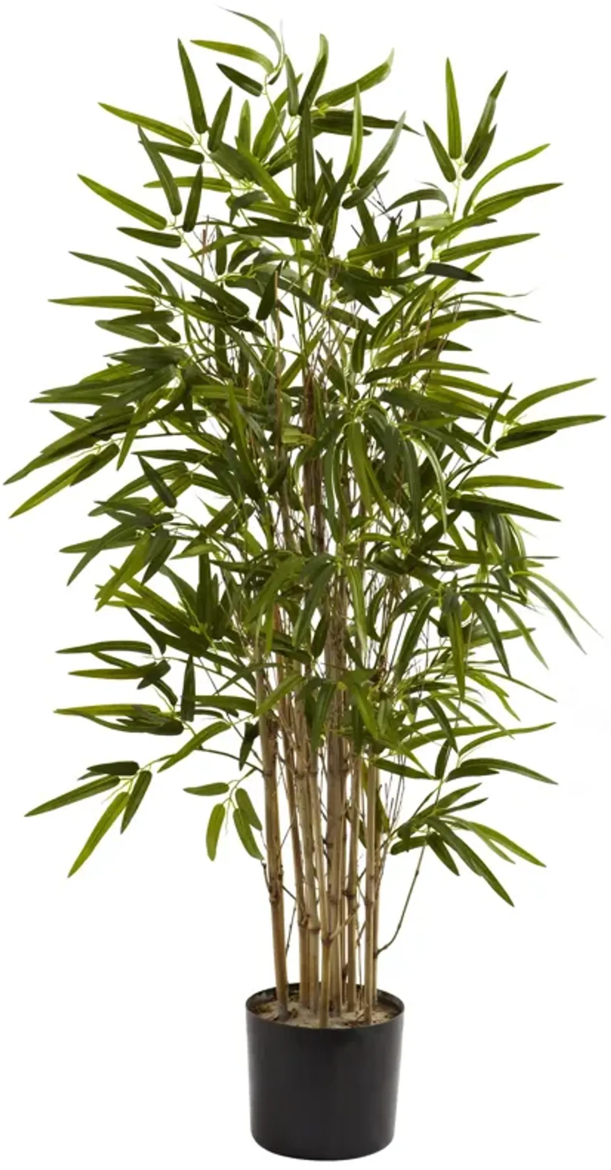 HomPlanti 3.5 Feet Twiggy Bamboo Tree