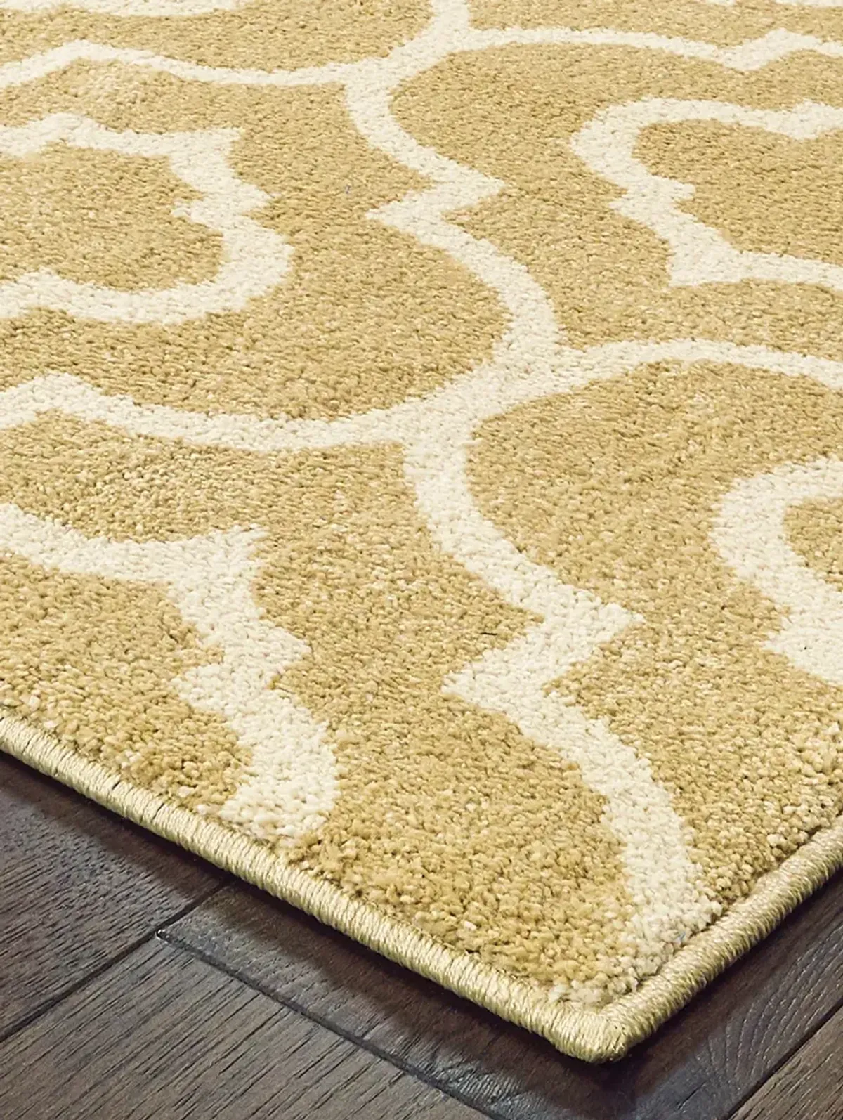 Carson 5'3" x 7'3" Gold Rug