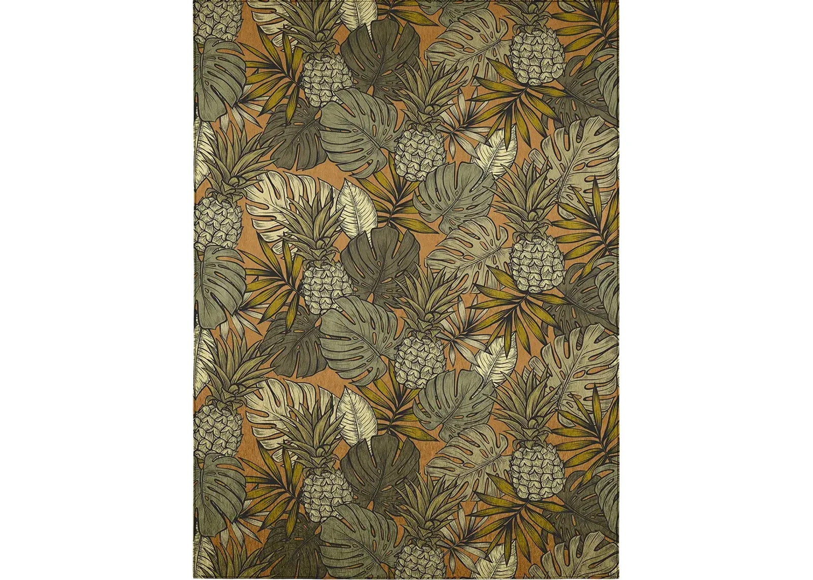 Tropics TC11 Clay 10' x 14' Rug