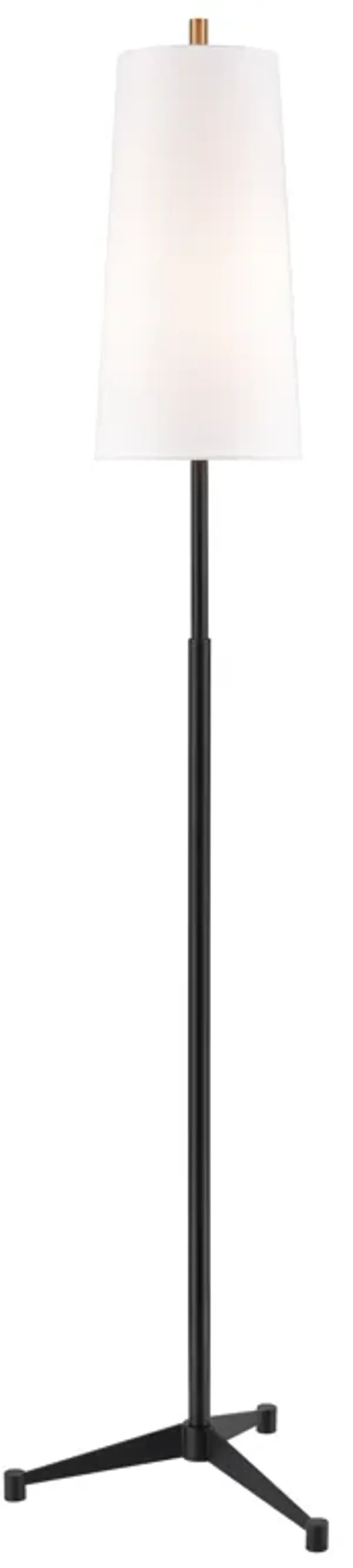 Matthias 65'' 1-Lt Floor Lamp