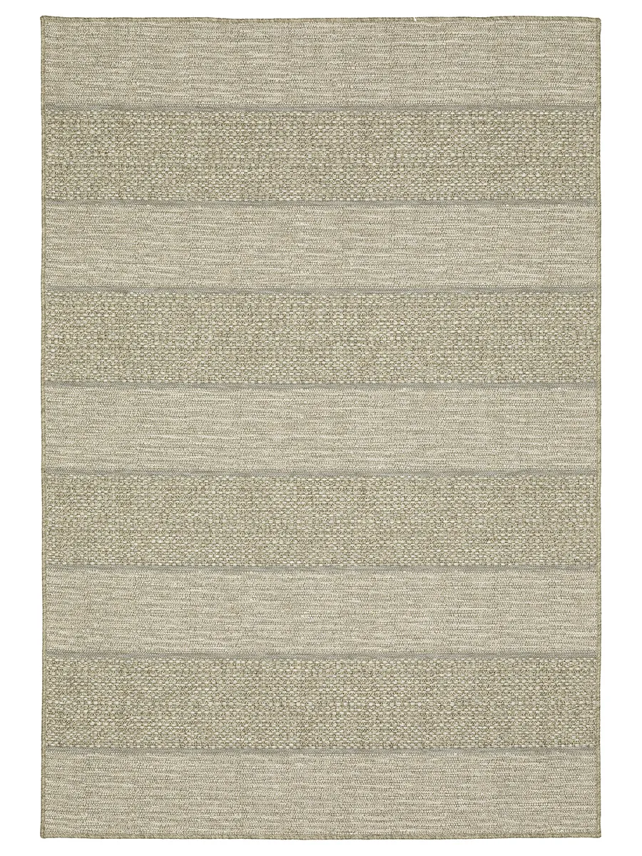 Tortuga 7'10" x 10' Beige Rug