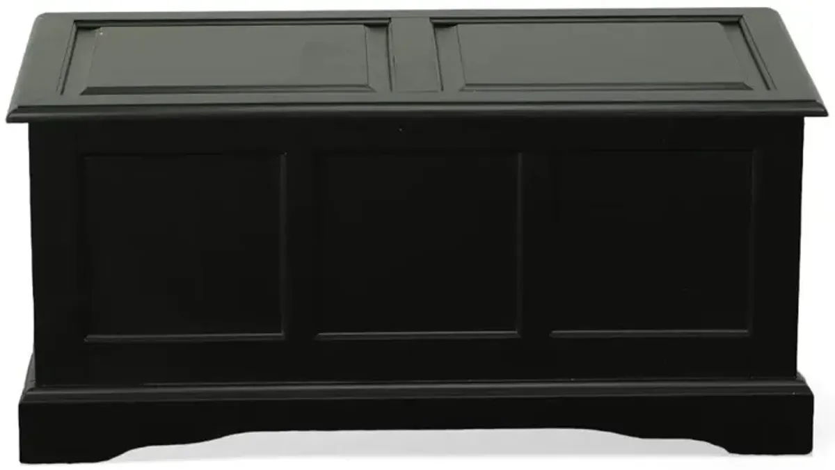 Carolina Living Camden Blanket Chest - Antique Black