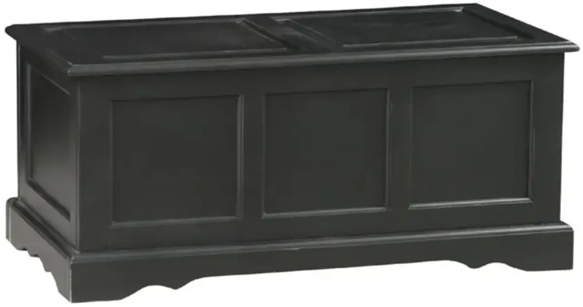 Carolina Living Camden Blanket Chest - Antique Black