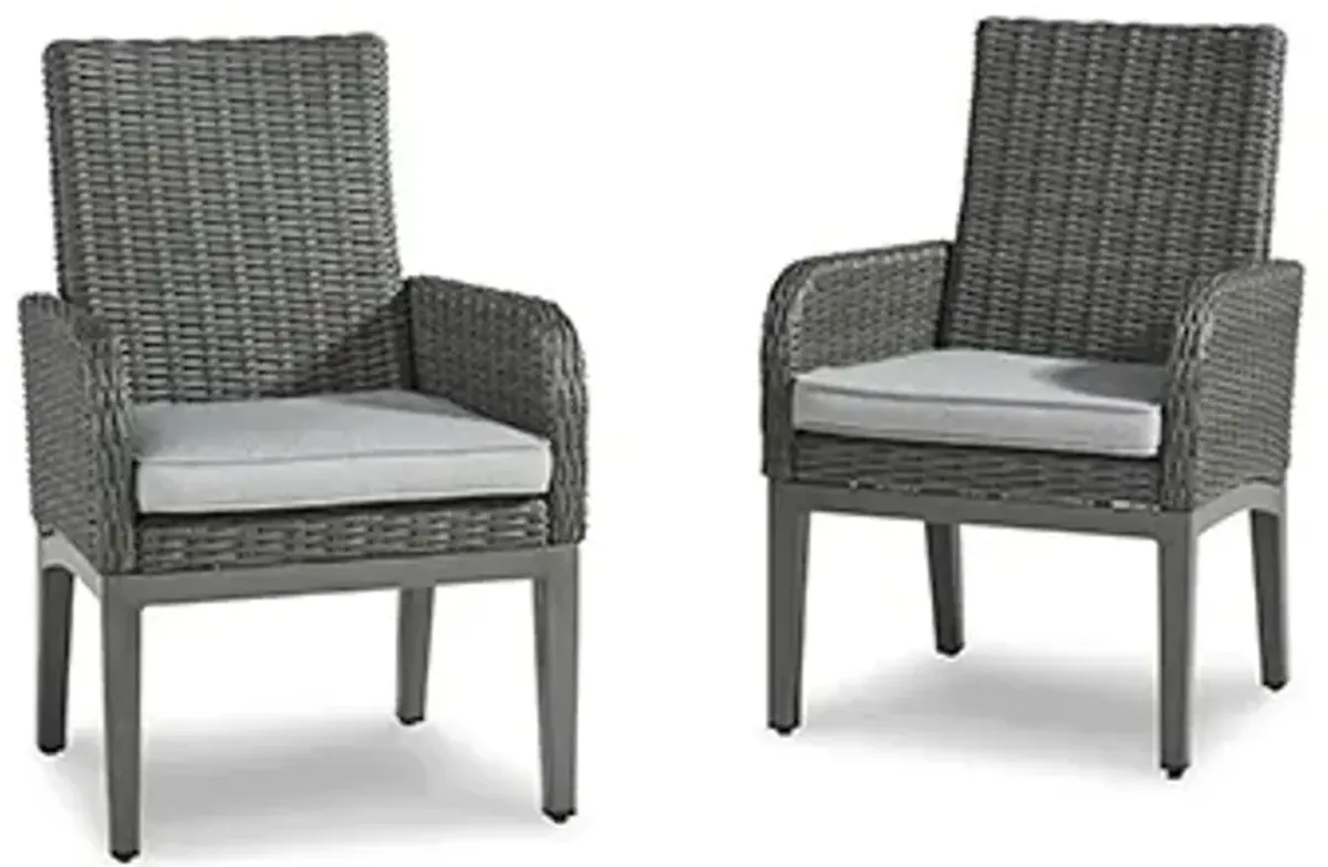 Elite Park Arm Chair with Cushion (Set of 2)