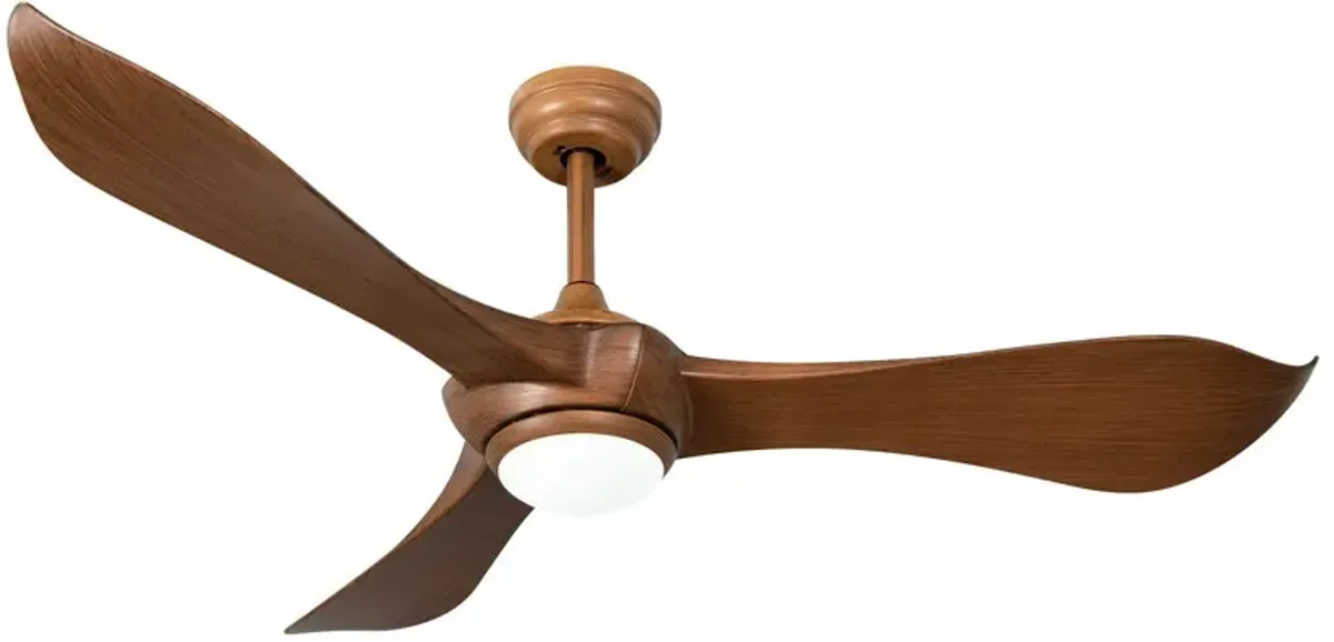 Ceiling Fan with Light Reversible DC Motor