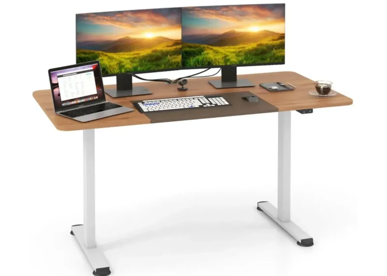 Hivvago 55 Inch Electric Standing Desk Adjustable with Cable Management Hole