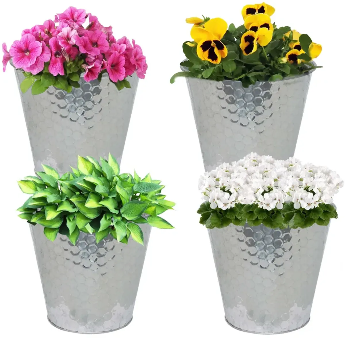 Sunnydaze Set of 4 Steel Buckets with Hexagon Pattern