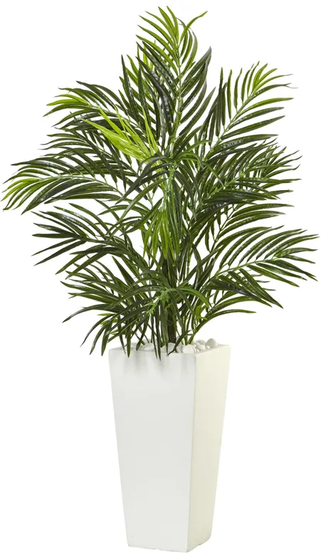 HomPlanti Areca Palm in White Square Planter