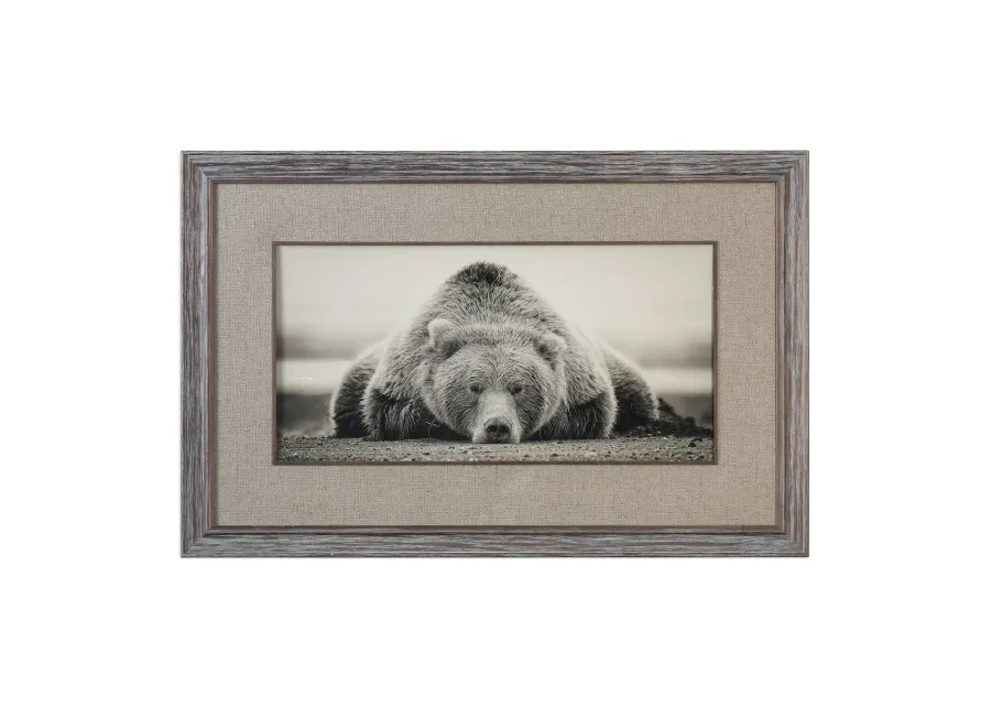 Deep Sleep Bear Print