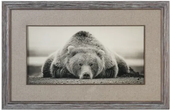 Deep Sleep Bear Print