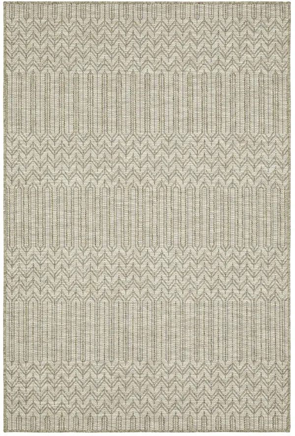 Tortuga 7'10" x 10' Beige Rug