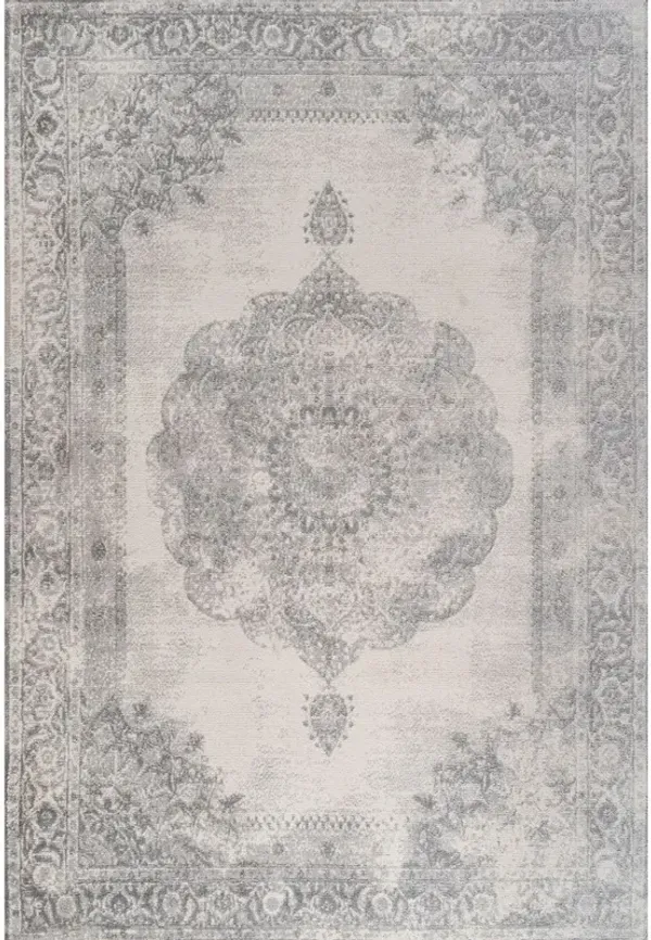 Kelly Rosalia Cottage Medallion Area Rug