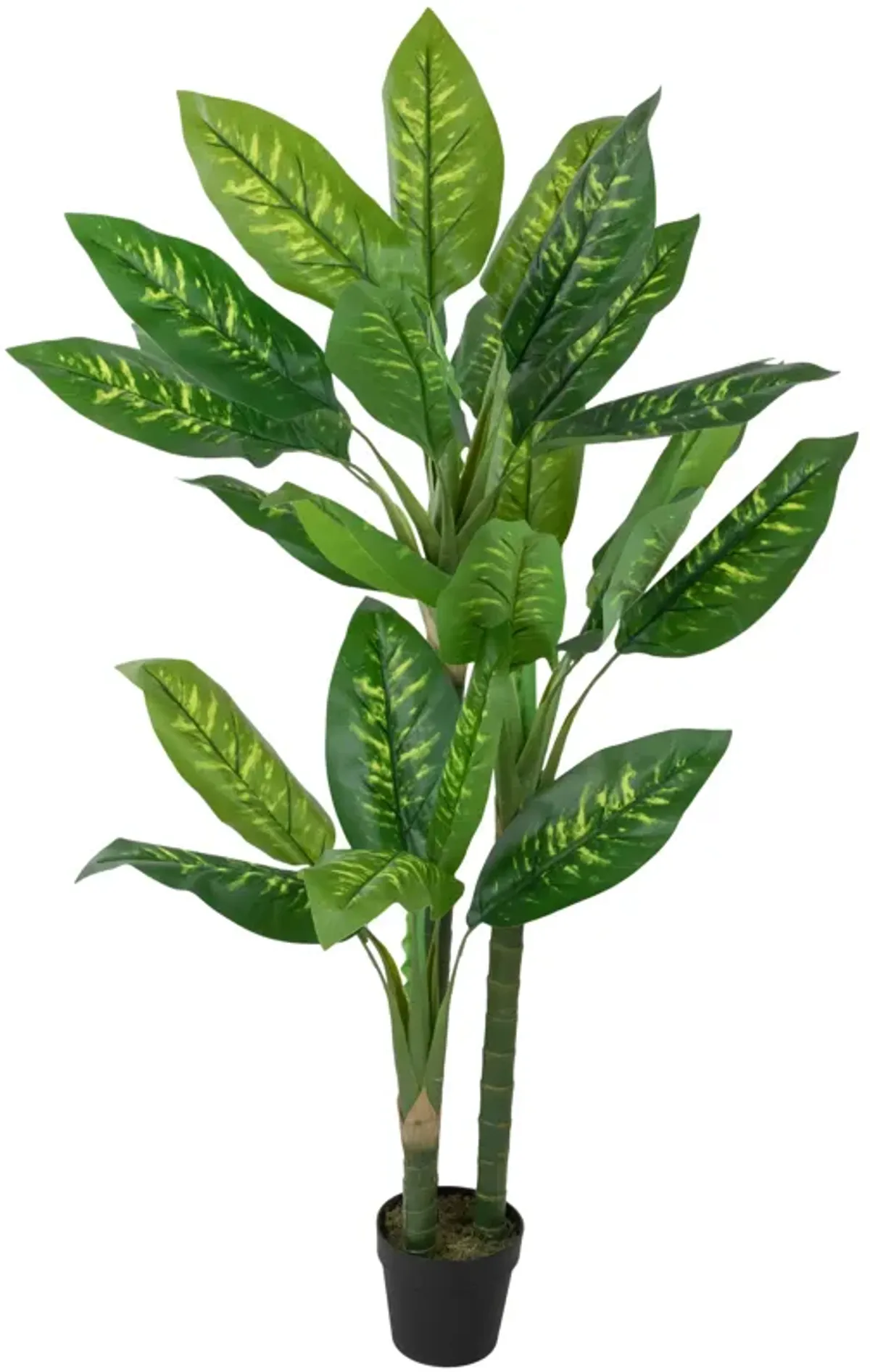 59" Artificial Wide Leaf Green Dieffenbachia Potted Plant