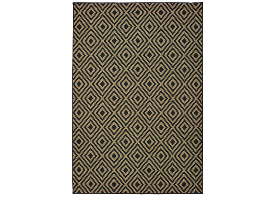 Marina 2'5" x 4'5" Black Rug