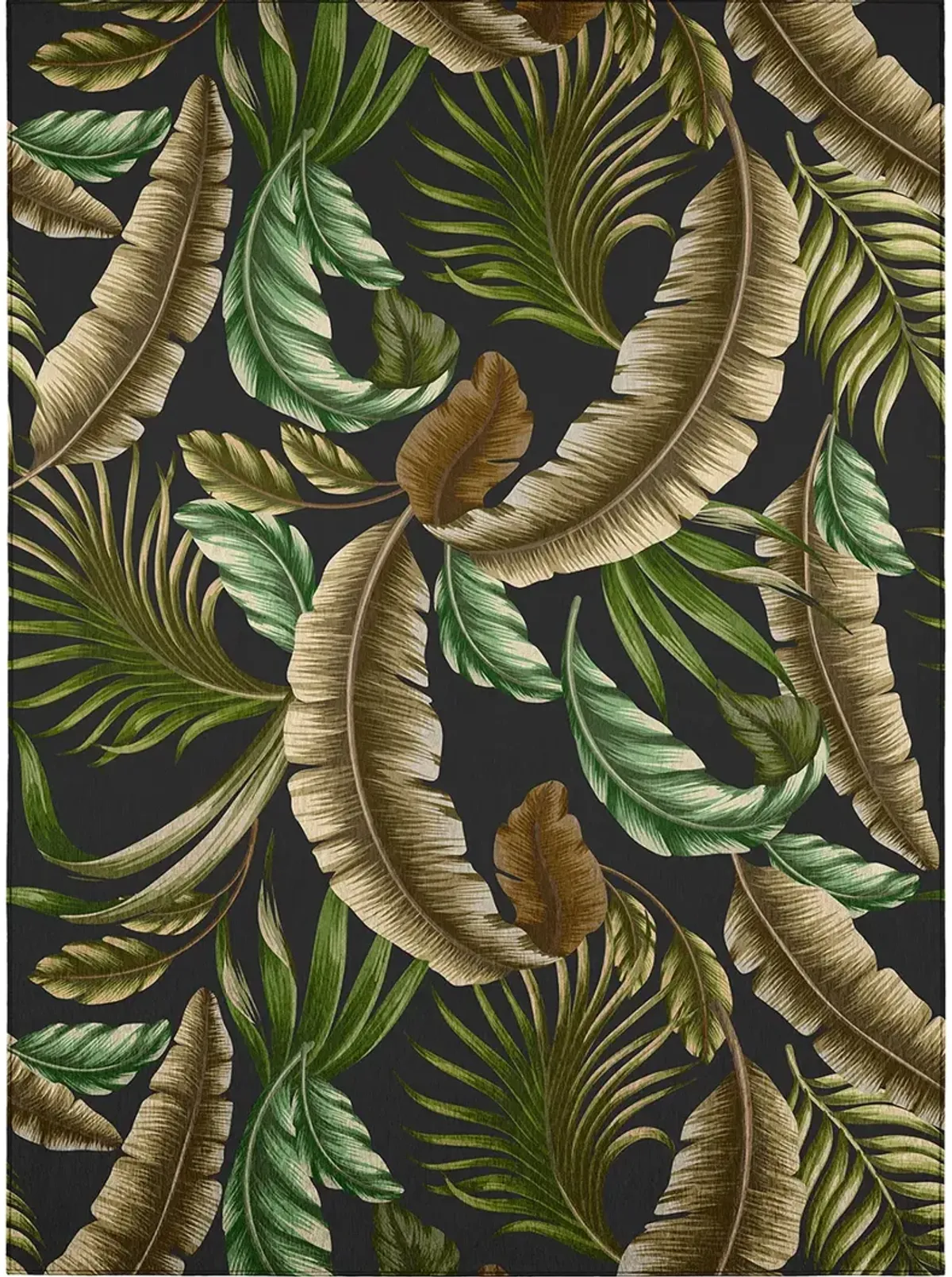 Tropics TC1 Black 5' x 7'6" Rug