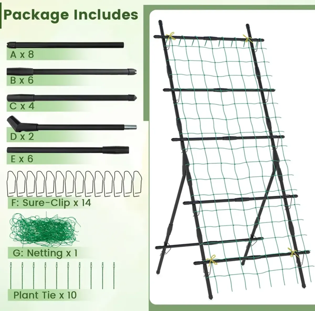 74 Inch Tall Garden Trellis for Flower Vine Vegetable Fruit Pea