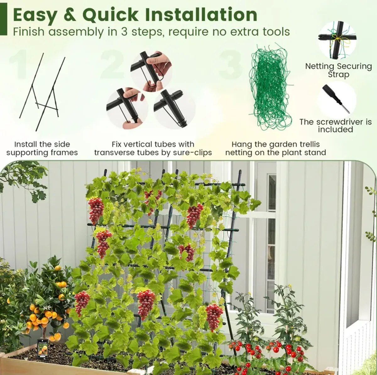 74 Inch Tall Garden Trellis for Flower Vine Vegetable Fruit Pea