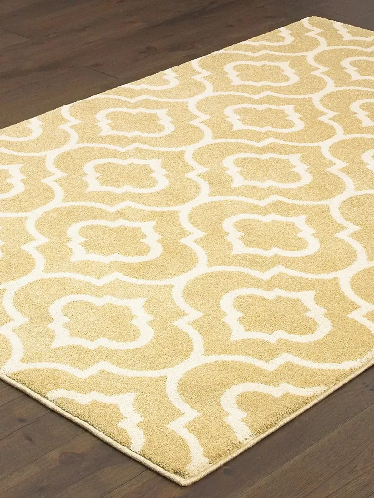 Carson 9'10" x 12'10" Gold Rug