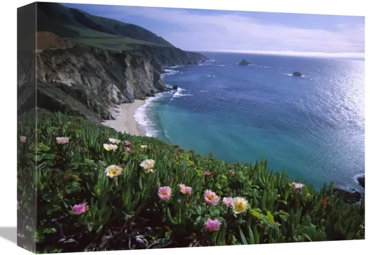 Ice Plant or Hottentot Fig Big Sur coast near Bixby Creek, California-Canvas Art-16x12