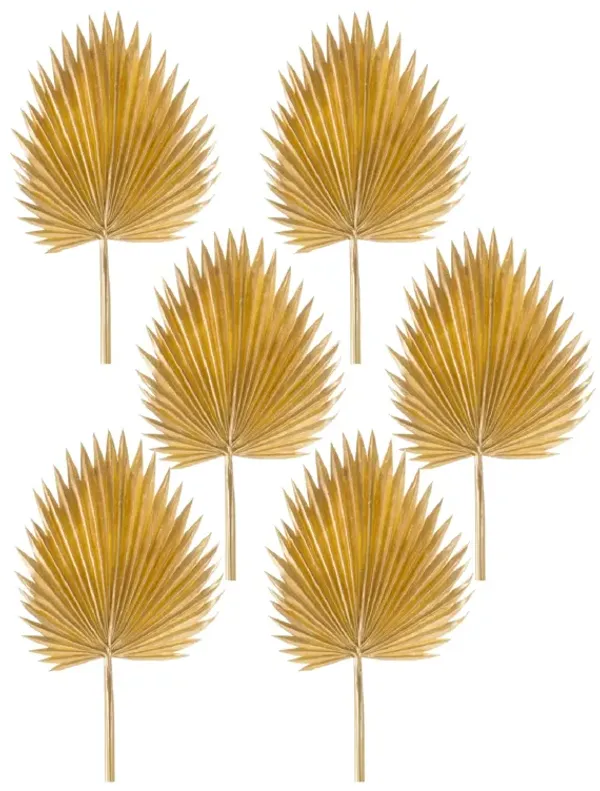 Fan Palm Leaf Set of 6 for Luxe, Exotic Decor and Party Styling