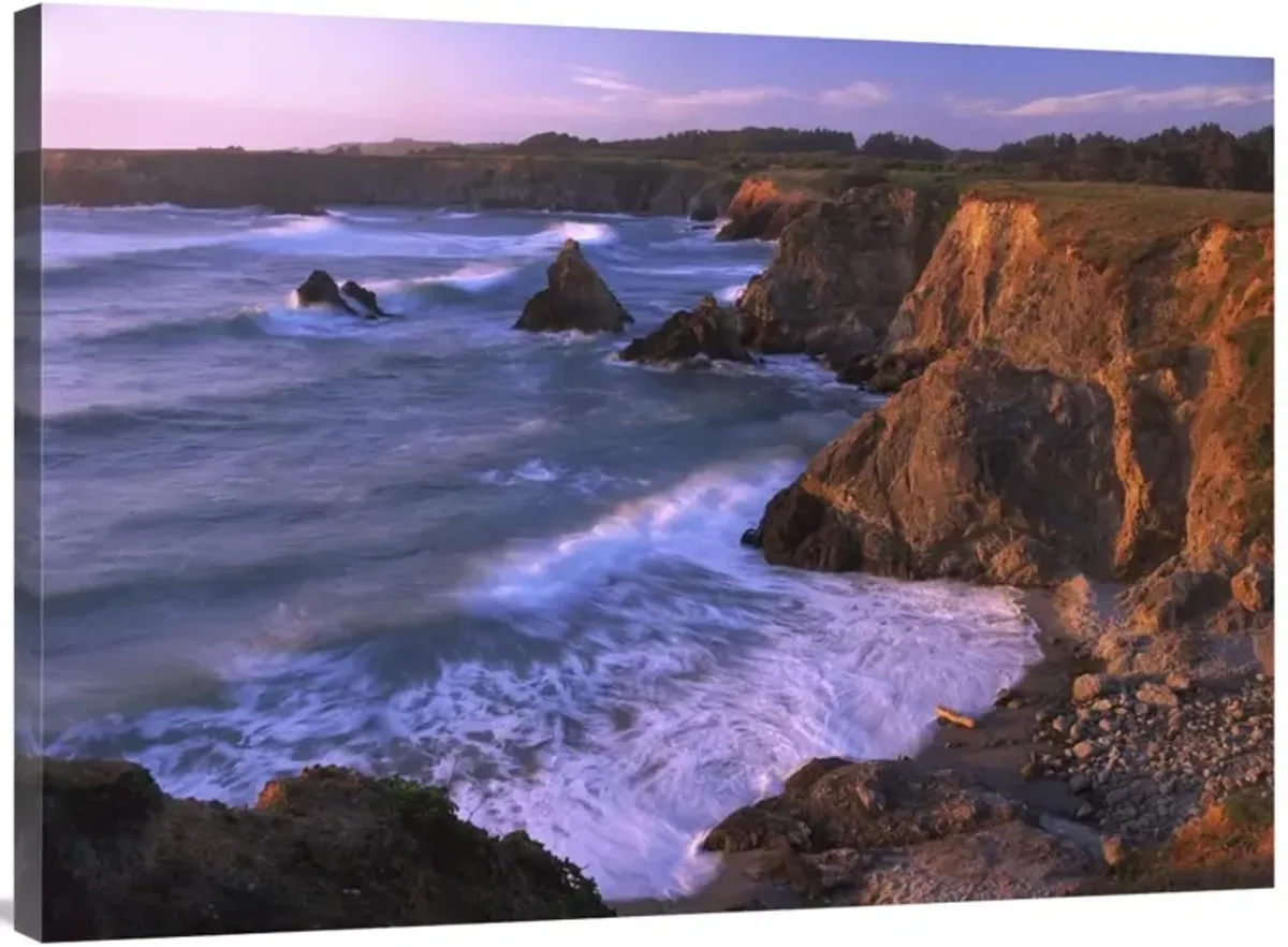 Beach at Jughandle State Reserve, Mendocino County, California-Canvas Art-40x30