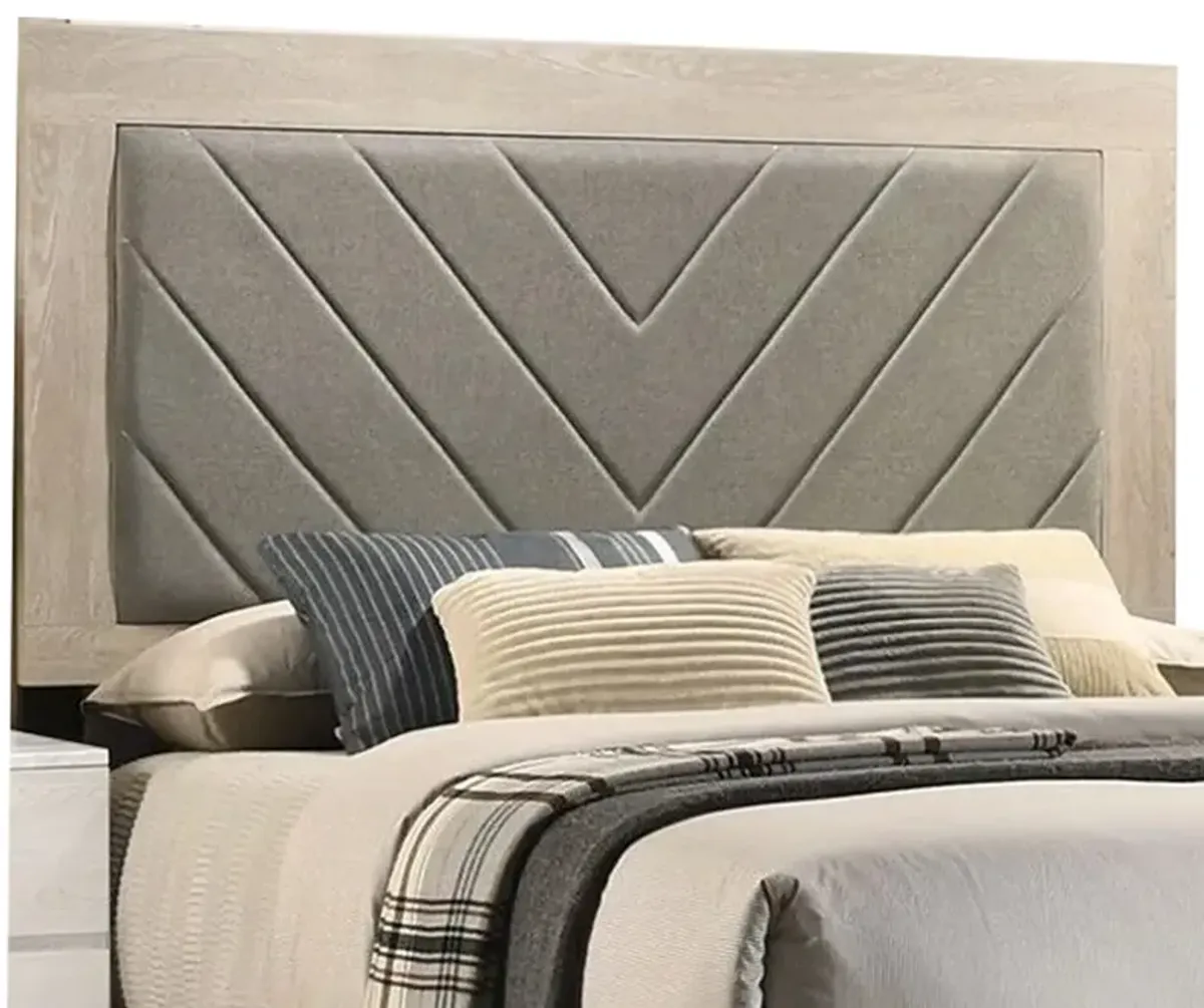 Cato Upholstered Queen Size Bed, Chevron Tufted Gray Headboard, Cream - Benzara