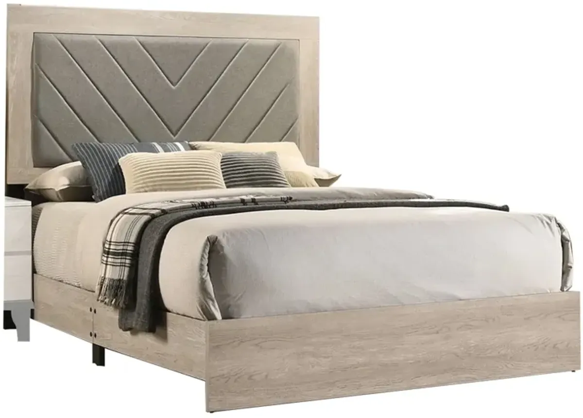 Cato Upholstered Queen Size Bed, Chevron Tufted Gray Headboard, Cream - Benzara