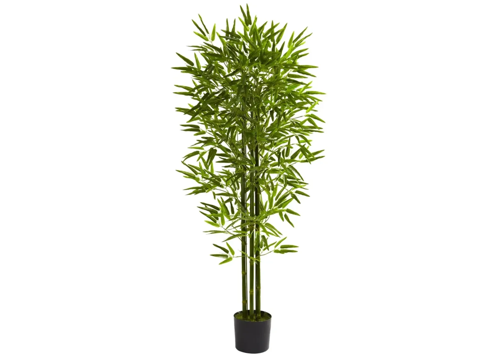 HomPlanti 5 Feet Bamboo Tree UV Resistant (Indoor/Outdoor)