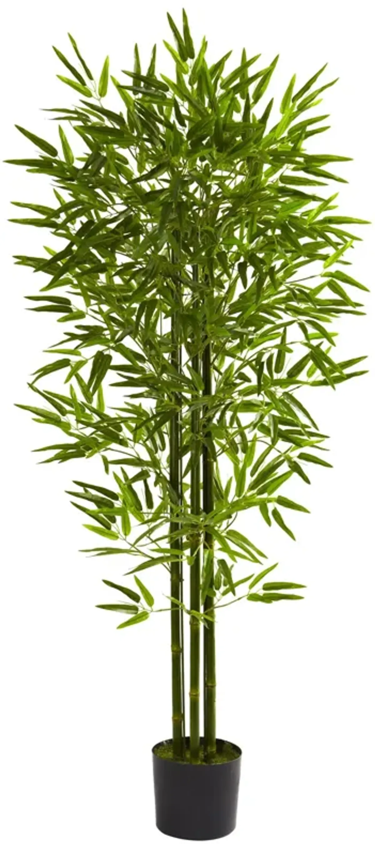 HomPlanti 5 Feet Bamboo Tree UV Resistant (Indoor/Outdoor)