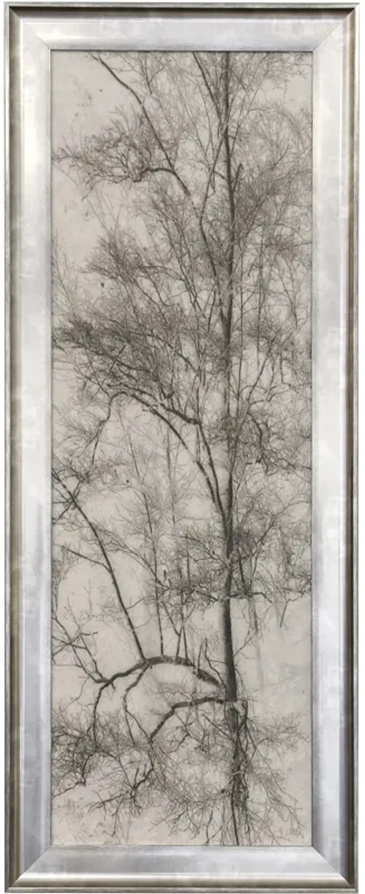 Tree Triptych I