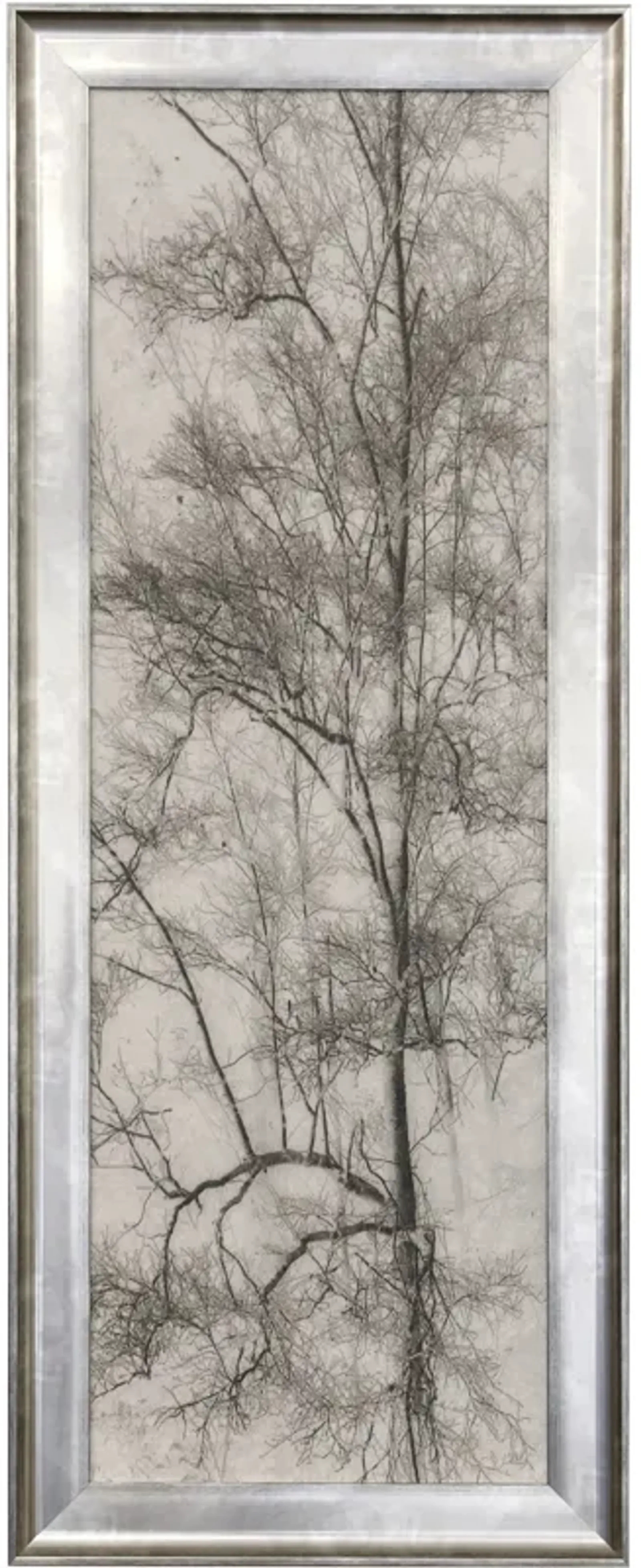 Tree Triptych I