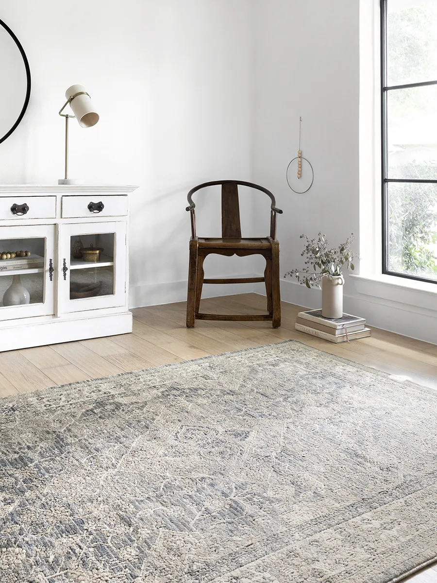 Teagan TEA04 Sky/Natural 3'4" x 5'7" Rug