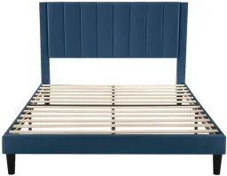 Navy color