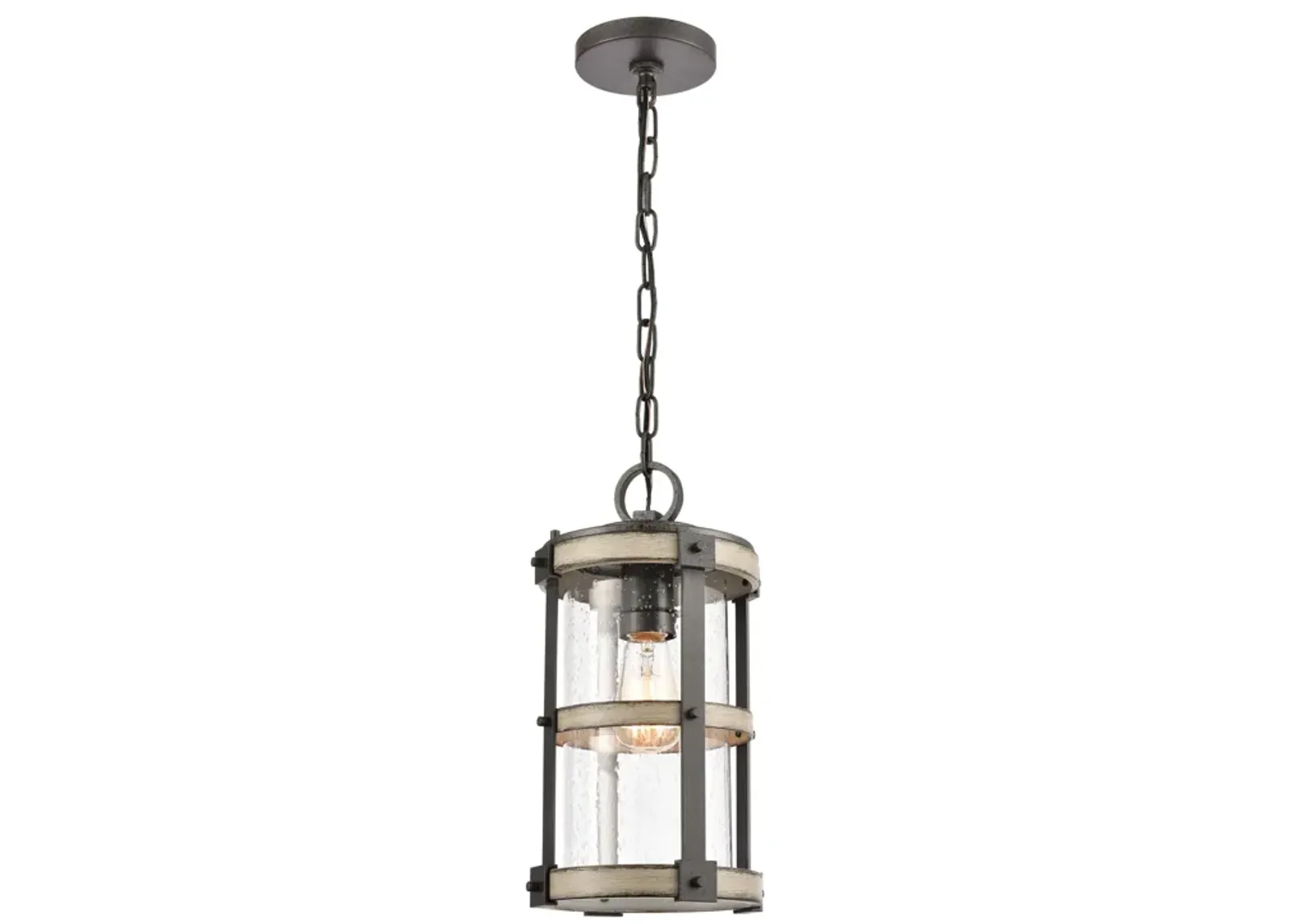 Annenberg 8'' Wide 1-Light Outdoor Pendant