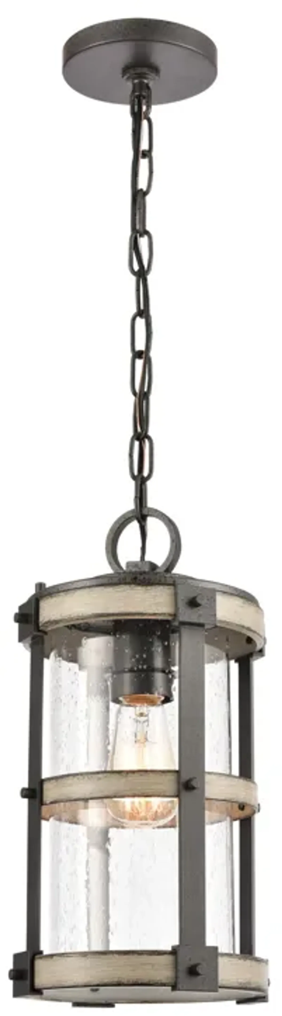 Annenberg 8'' Wide 1-Light Outdoor Pendant