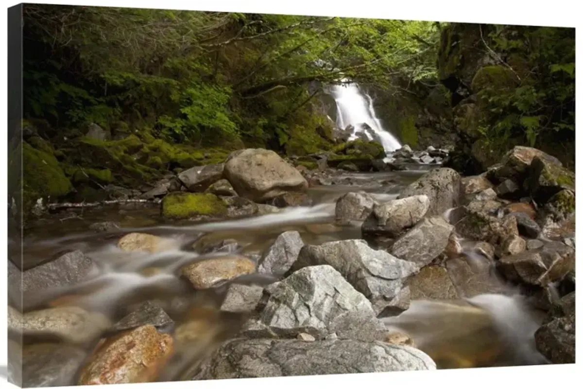 Unnamed waterfall along South Tongass Highway, Ketchikan, Alaska-Canvas Art-36x24