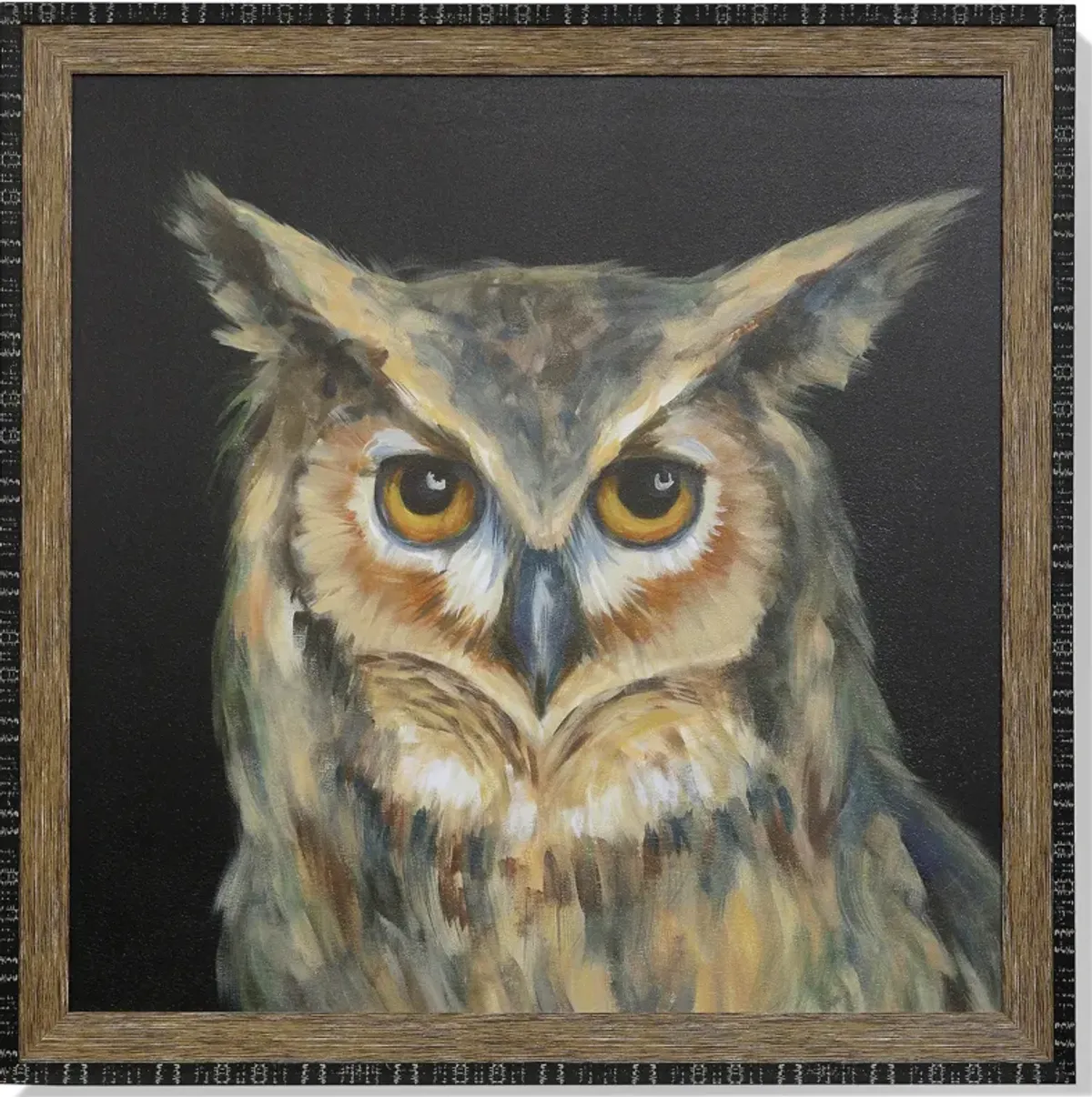 Hedwig Who Framed Print