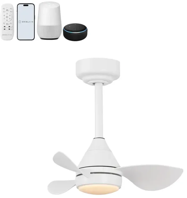 Albini 22" Contemporary Minimalist 6-Speed Metal Mobile-App/Remote-Controlled Dimmable Smart Integrated LED Ceiling Fan