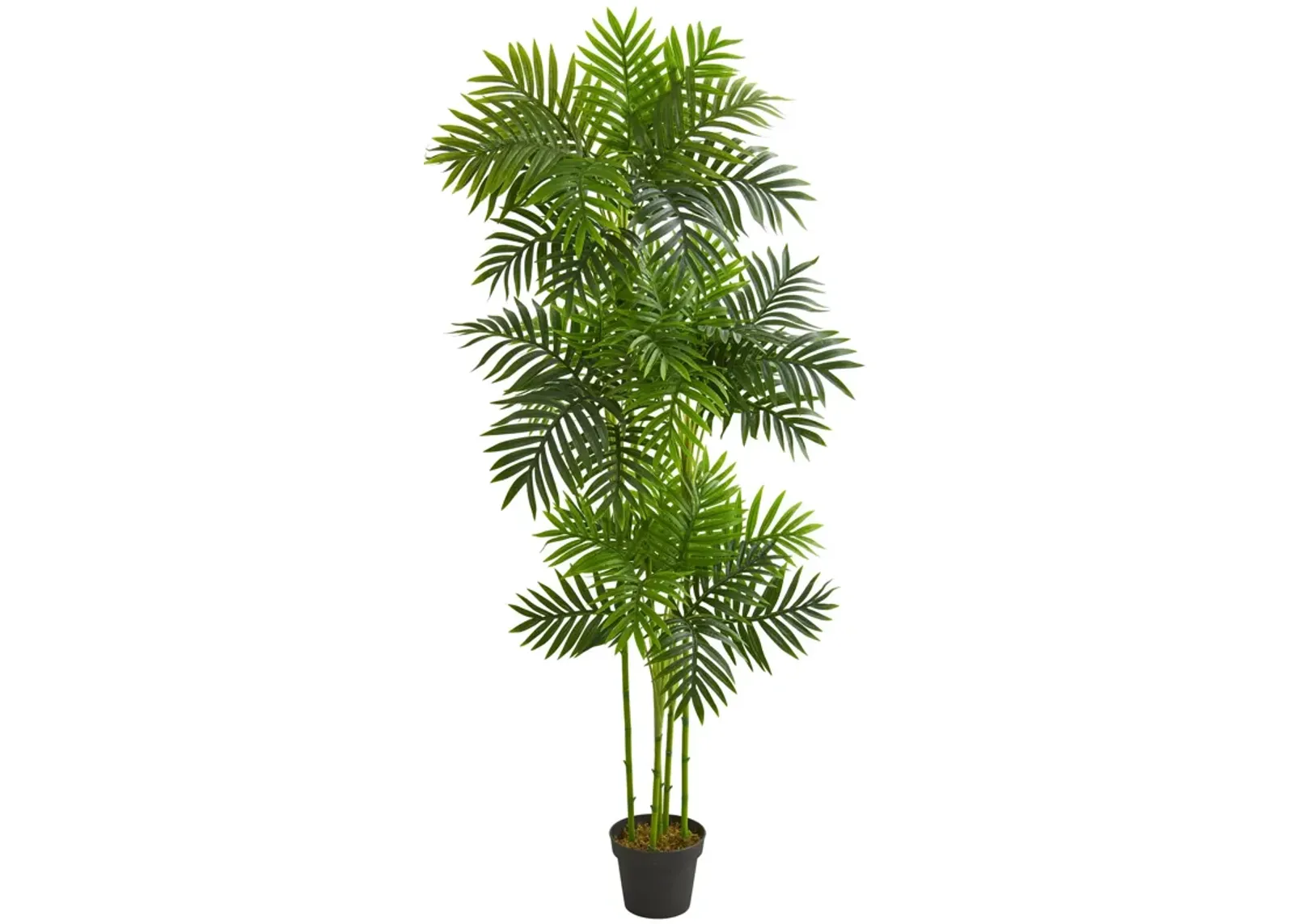 HomPlanti 6 Feet Phoenix Palm Artificial Tree