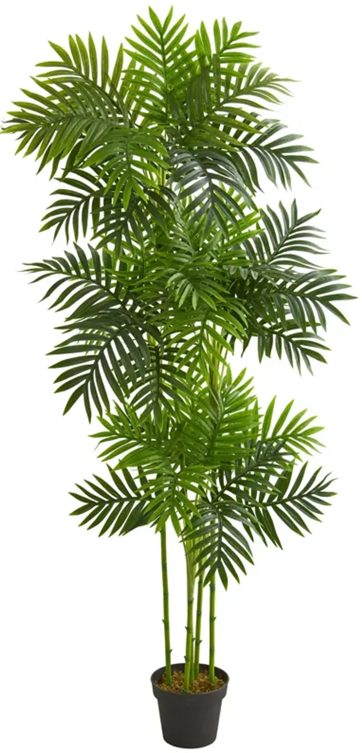 HomPlanti 6 Feet Phoenix Palm Artificial Tree