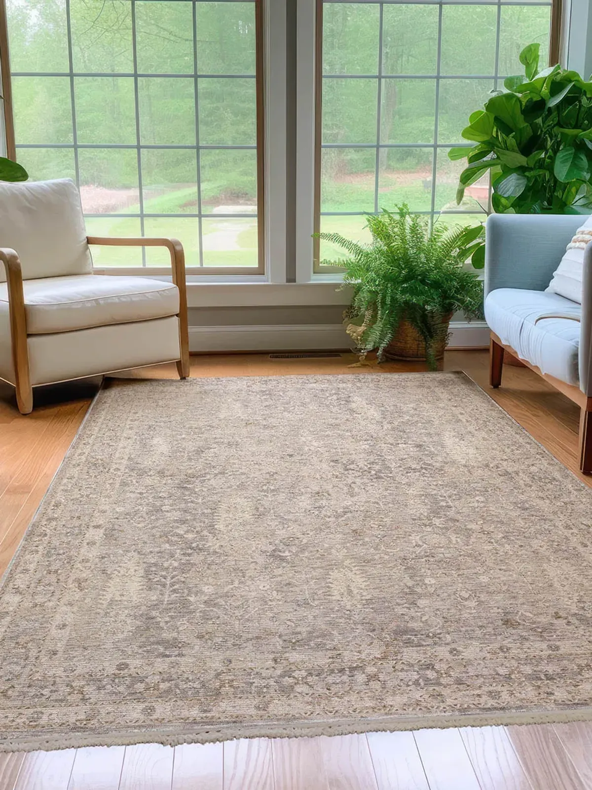 Cyprus CY7 Aloe 5' x 7'10" Rug