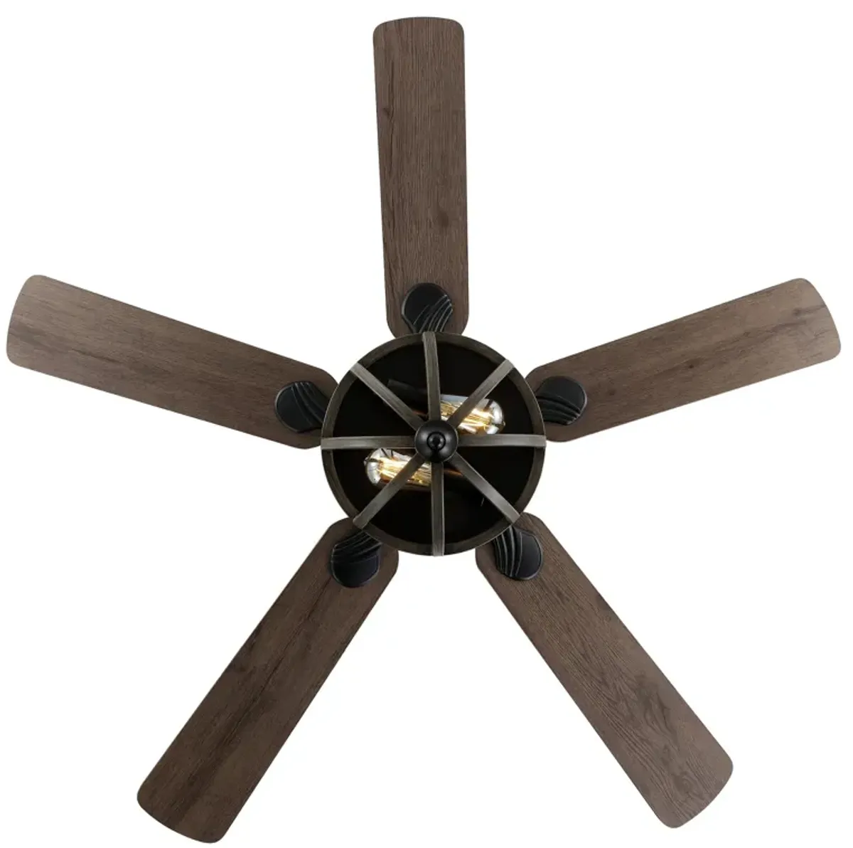 Jasper 2-Light Farmhouse Industrial Iron Dome Shade LED Ceiling Fan With Remote