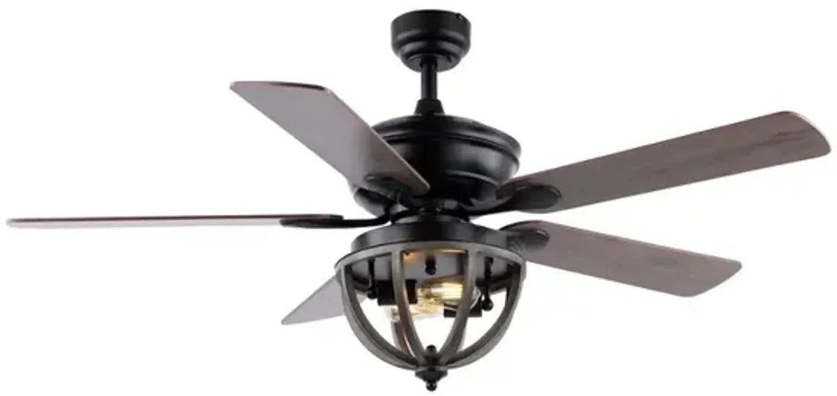 Jasper 2-Light Farmhouse Industrial Iron Dome Shade LED Ceiling Fan With Remote