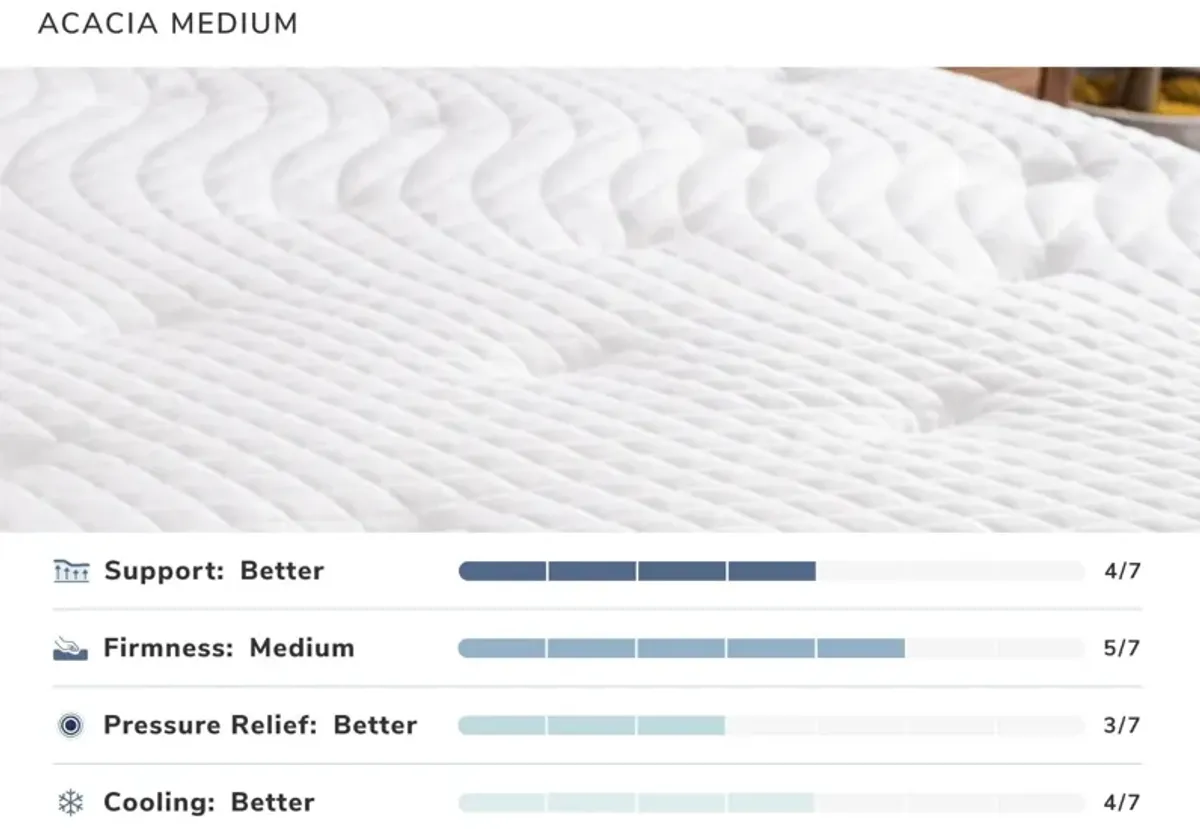 Acacia Queen Mattress