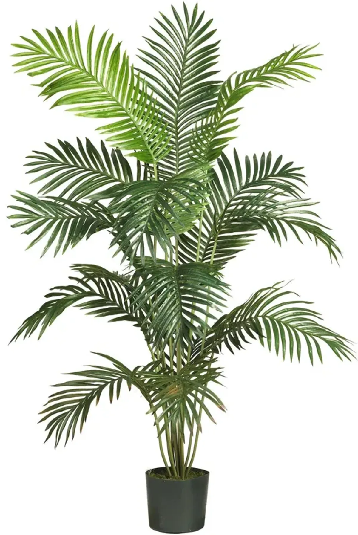 Nearly Natural 6-ft Paradise Palm Tree w/15 Lvs