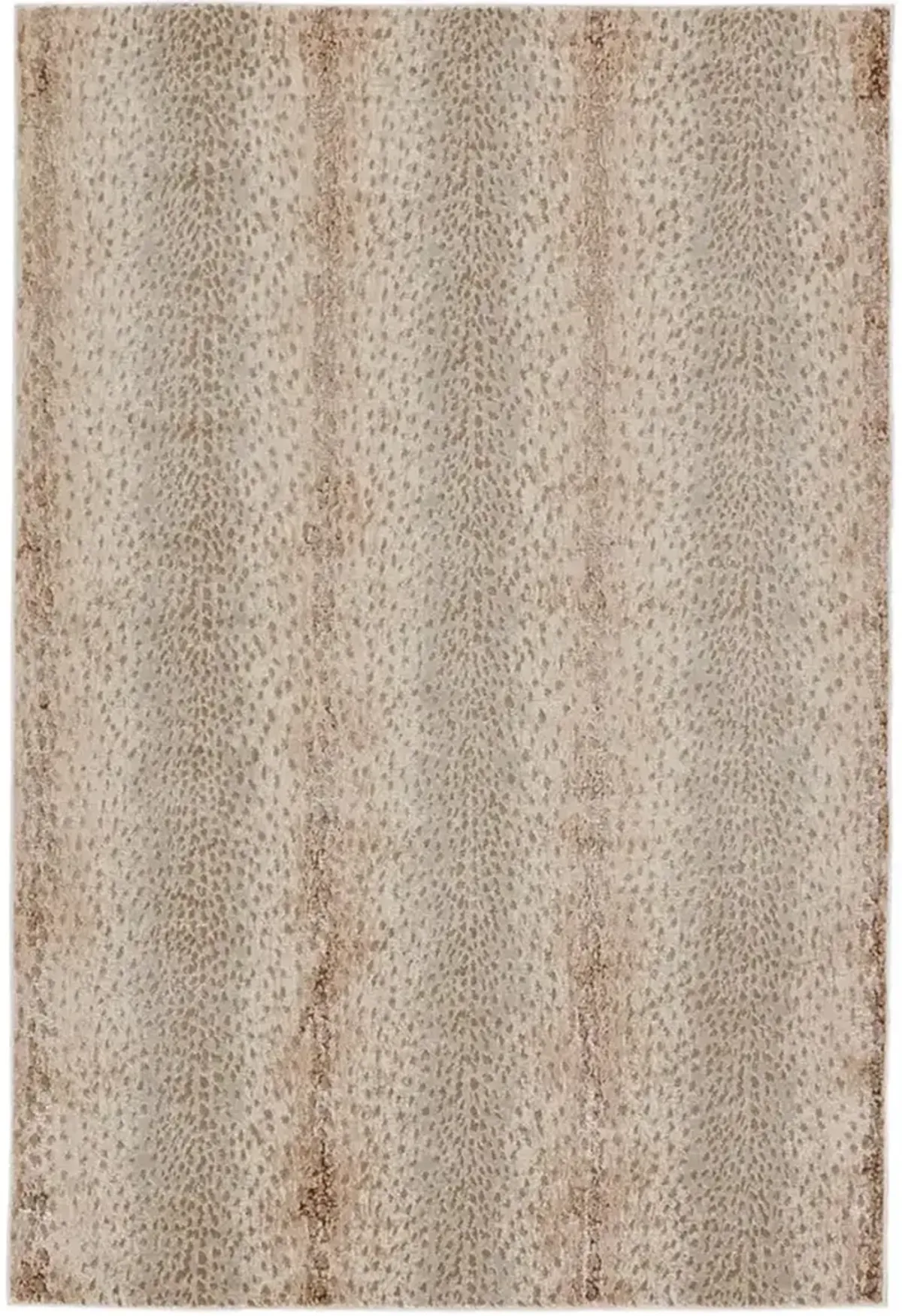 Catalyst A x is Tan/Taupe 5' x 7'6" Rug