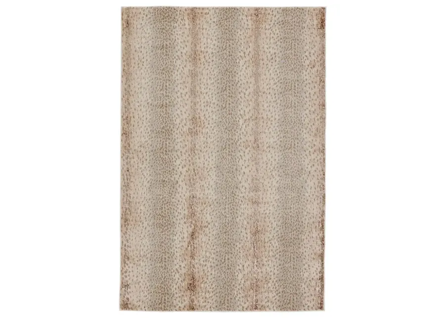 Catalyst A x is Tan/Taupe 5' x 7'6" Rug